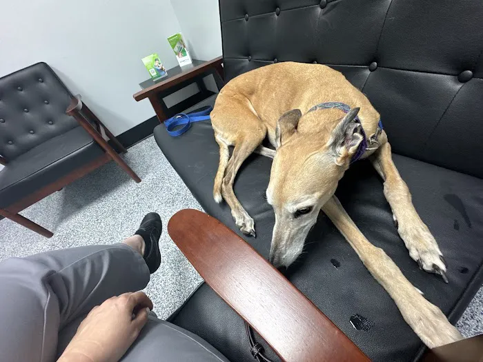 Veterinary Emergency Hospital of Arlington (Urgent Care) Picture 9