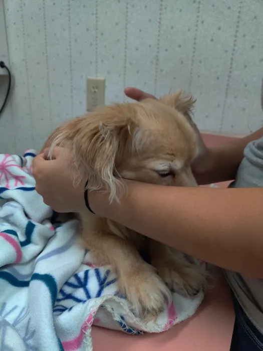 Dr. Mike's Affordable Vet Care Picture 8