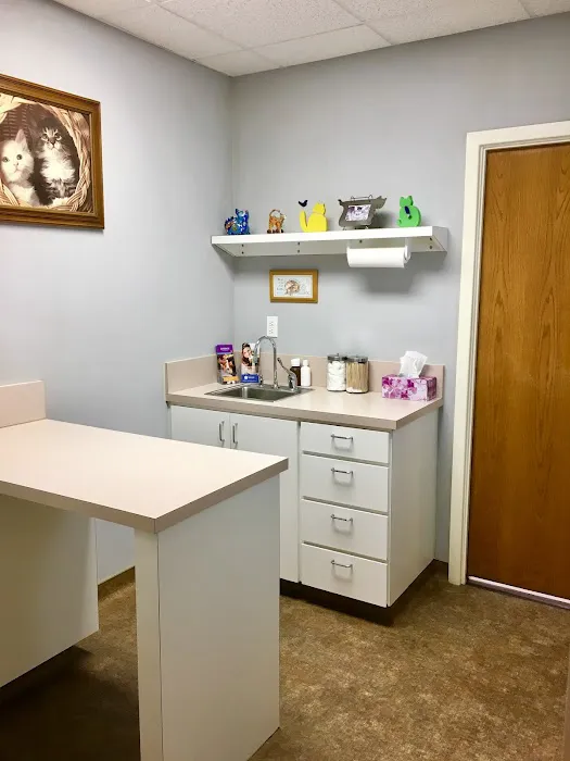 Arlington South Veterinary Hospital Picture 3