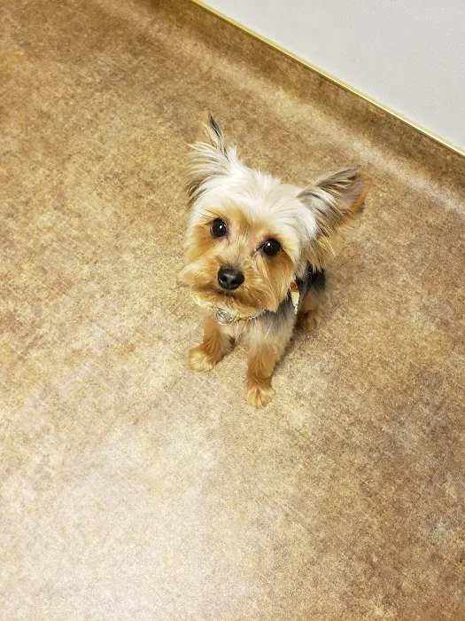 Arlington South Veterinary Hospital Picture 7