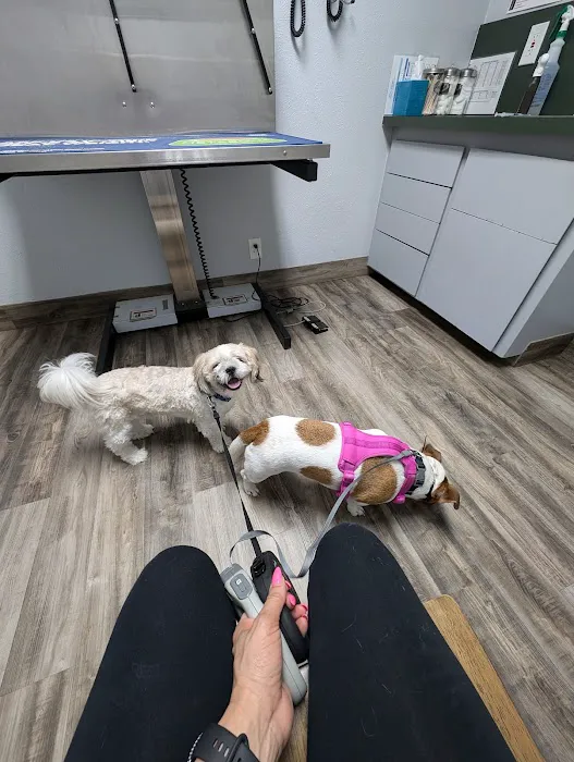 Carrier Animal Hospital Picture 8