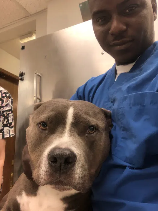 Carrier Animal Hospital Picture 7