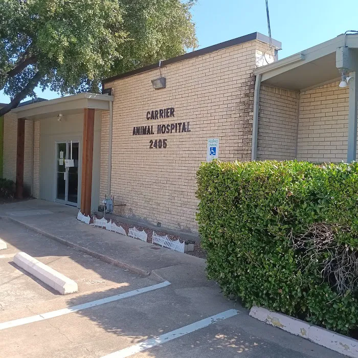 Carrier Animal Hospital Picture 10