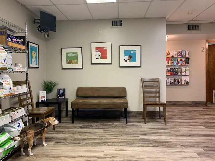 Carrier Animal Hospital Picture 9