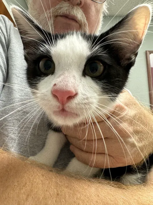 303 Animal Clinic Picture 9