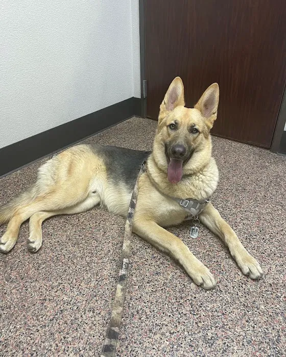 Animal Clinic of Grand Prairie Picture 6