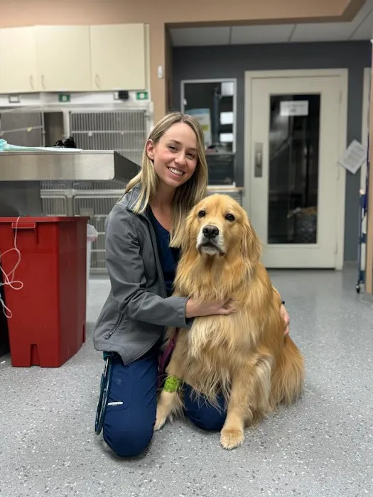 Airport Freeway Animal Emergency Hospital Picture 4
