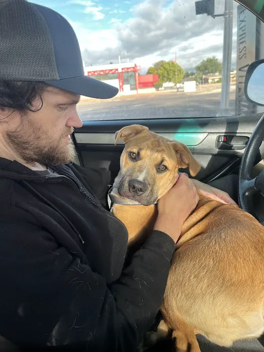Express Vet NM Picture 2