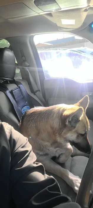 Express Vet NM Picture 3