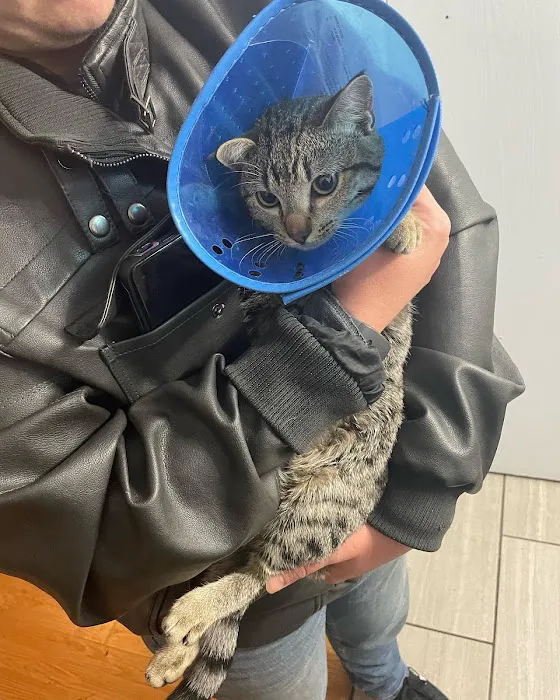 Express Vet NM Picture 7