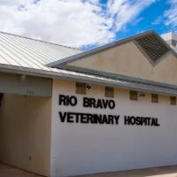 Rio Bravo Veterinary Hospital ico