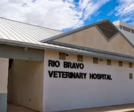 Rio Bravo Veterinary Hospital