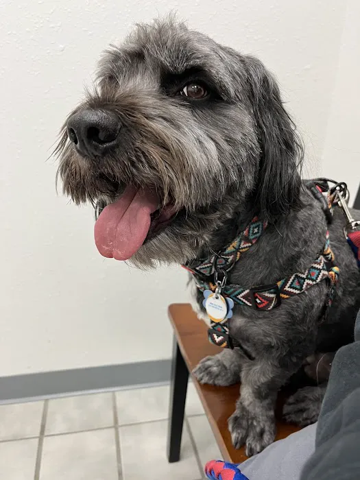 Rio Bravo Veterinary Hospital Picture 7