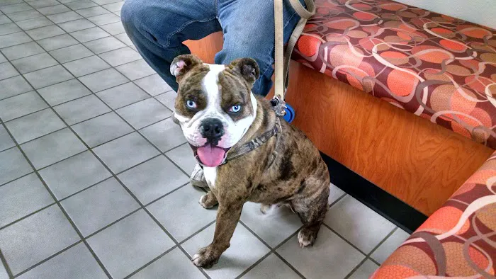 Rio Bravo Veterinary Hospital Picture 4