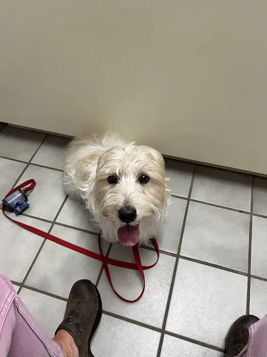 Rio Bravo Veterinary Hospital Picture 5