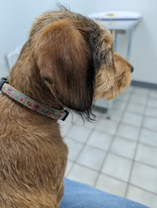 Rio Bravo Veterinary Hospital Picture 8