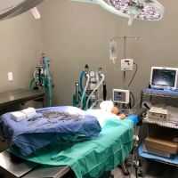 Malaherd Veterinary Hospital ico