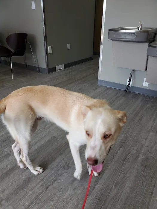 Malaherd Veterinary Hospital Picture 10
