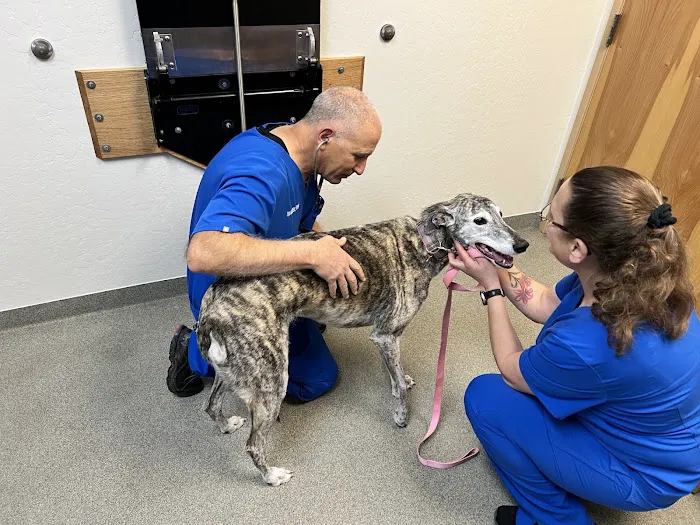 Los Ranchos Veterinary Clinic Picture 2