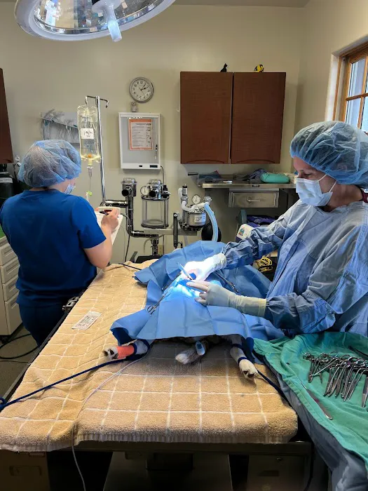 Los Ranchos Veterinary Clinic Picture 4