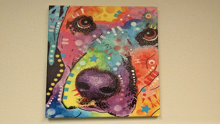 St. Francis Animal Clinic Picture 6