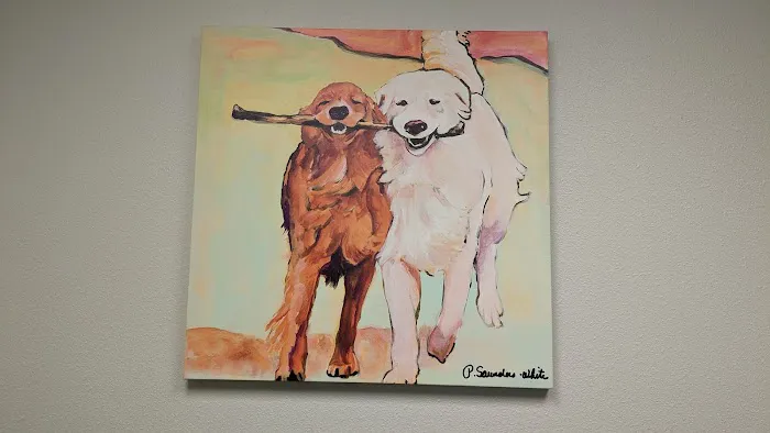 St. Francis Animal Clinic Picture 10