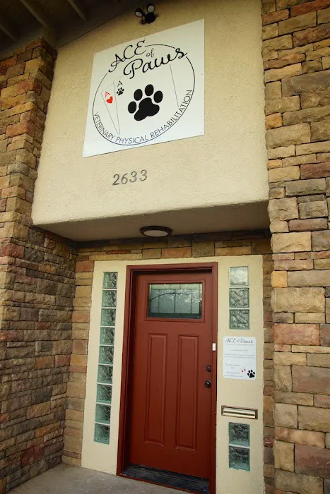 ACE of Paws Picture 1