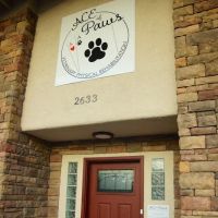 ACE of Paws ico
