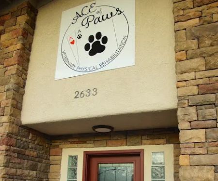 ACE of Paws