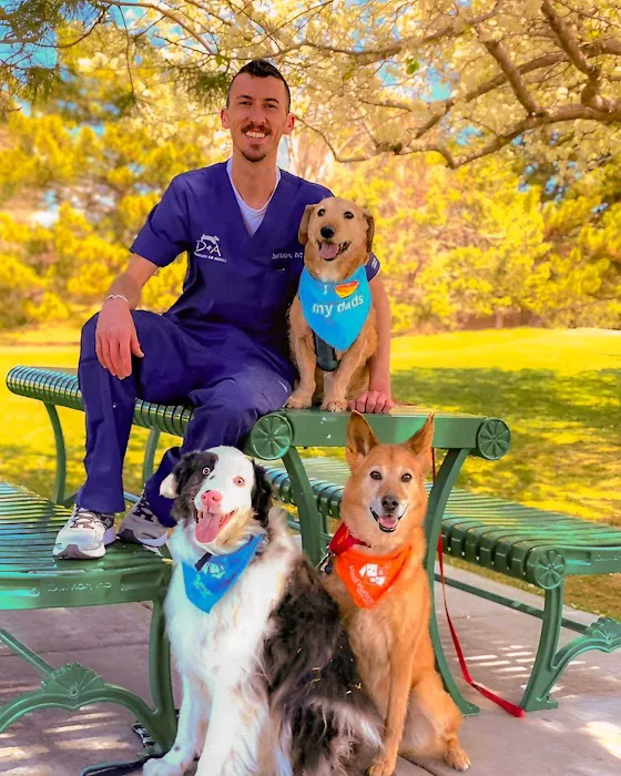 Dermatology for Animals - Albuquerque Picture 2