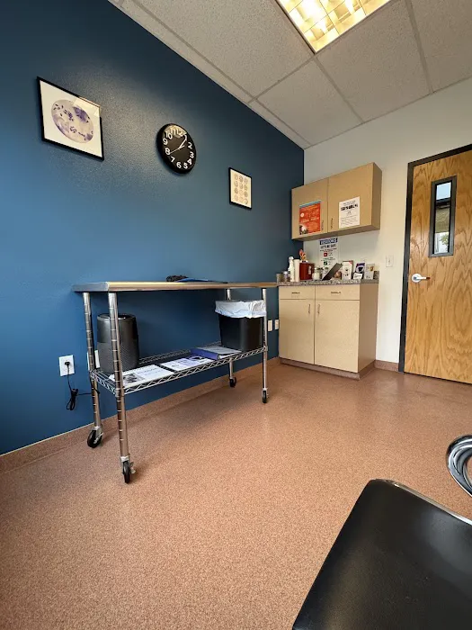 Dermatology for Animals - Albuquerque Picture 6