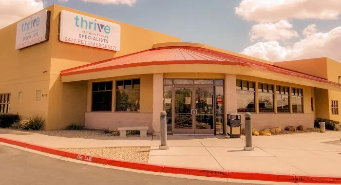 Dermatology for Animals - Albuquerque Picture 4