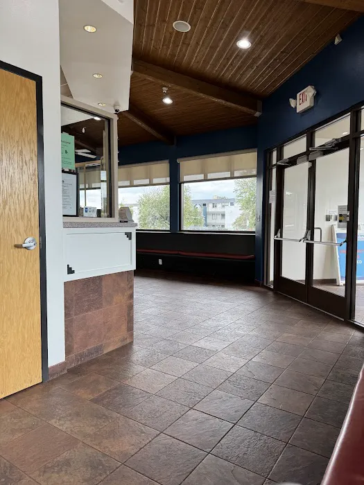 Dermatology for Animals - Albuquerque Picture 8