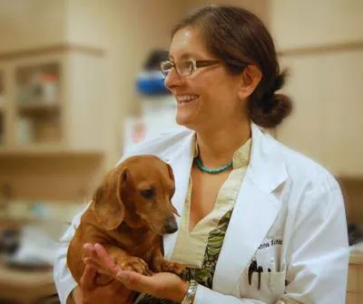 Dermatology for Animals - Albuquerque Picture 10