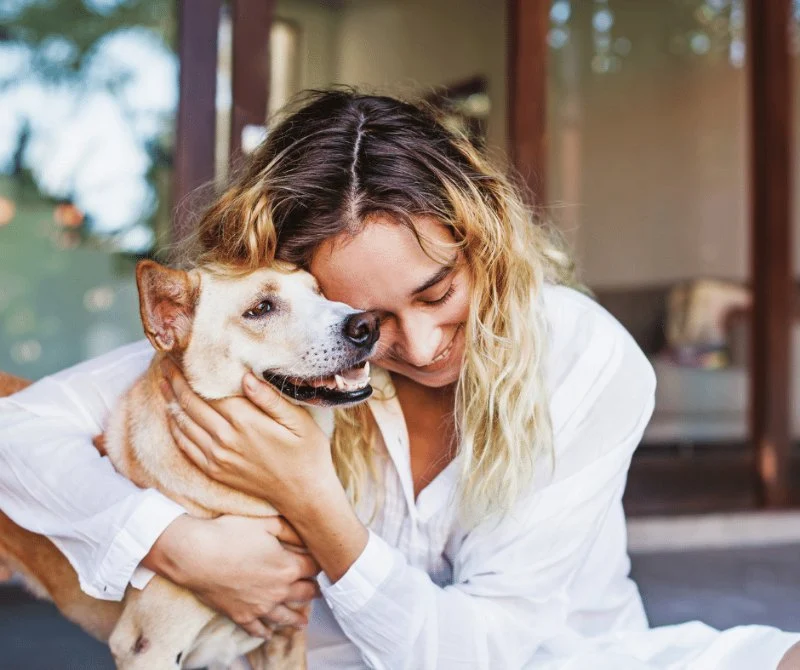 How to Help Pets Cope with Separation Anxiety | Tips for Pet Owners