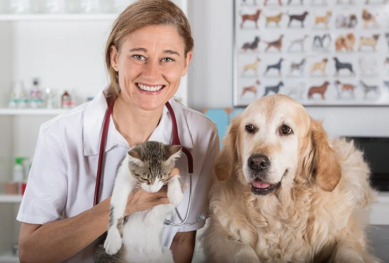 Top 10 Tips for Pet Health - Expert Advice for Happy, Healthy Pets
