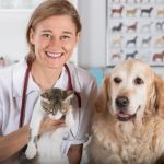Top 10 Tips for Pet Health - Expert Advice for Happy, Healthy Pets