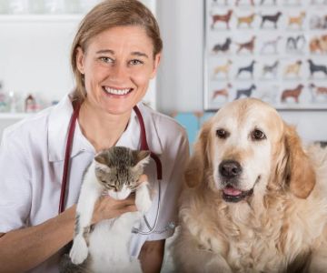 Top 10 Tips for Pet Health - Expert Advice for Happy, Healthy Pets