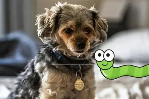 The Ultimate Guide to Parasite Prevention for Pets