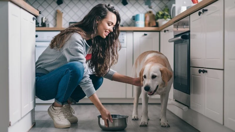 The Ultimate Guide to Treating and Preventing Dog Diarrhea at Home