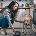 The Ultimate Guide to Treating and Preventing Dog Diarrhea at Home