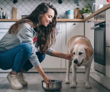 The Ultimate Guide to Treating and Preventing Dog Diarrhea at Home