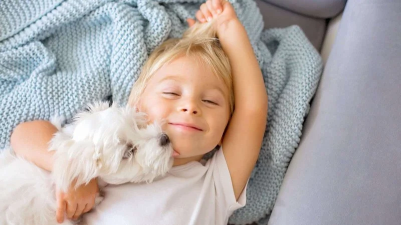 The Dos and Don’ts of Pet Diseases: What Every Pet Owner Should Know