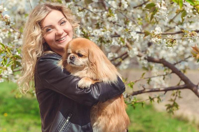 How to Improve Your Pet's Adoption Experience