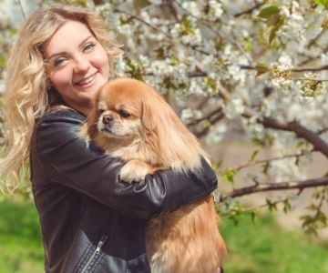 How to Improve Your Pet's Adoption Experience