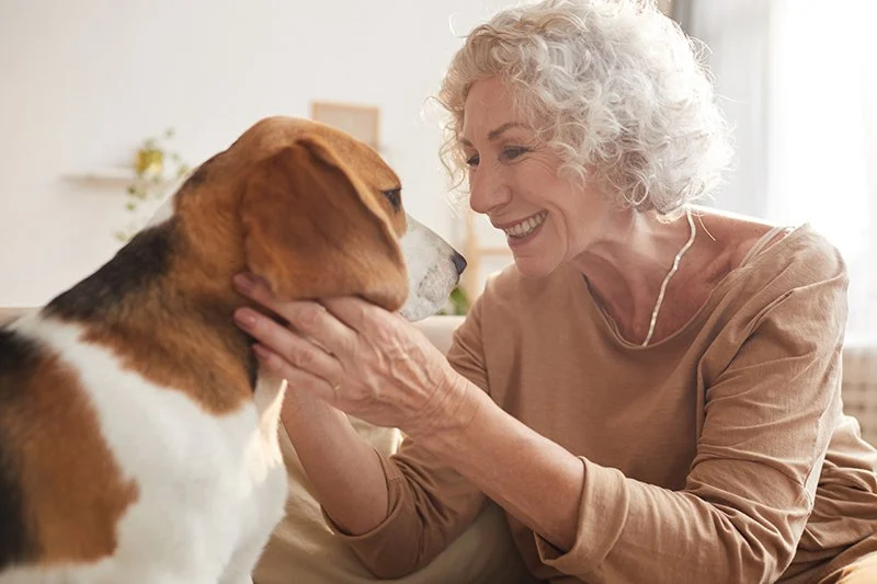 Safe Ways to Stimulate Mental Health in Senior Dogs