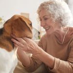 Safe Ways to Stimulate Mental Health in Senior Dogs