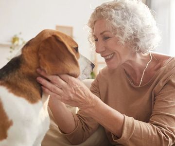 Safe Ways to Stimulate Mental Health in Senior Dogs