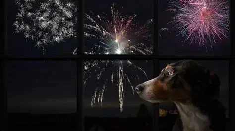 How to Calm Pet Anxiety During Thunderstorms and Fireworks