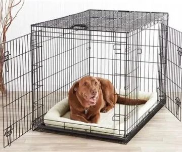 Best Methods for Crate Training a Puppy Successfully